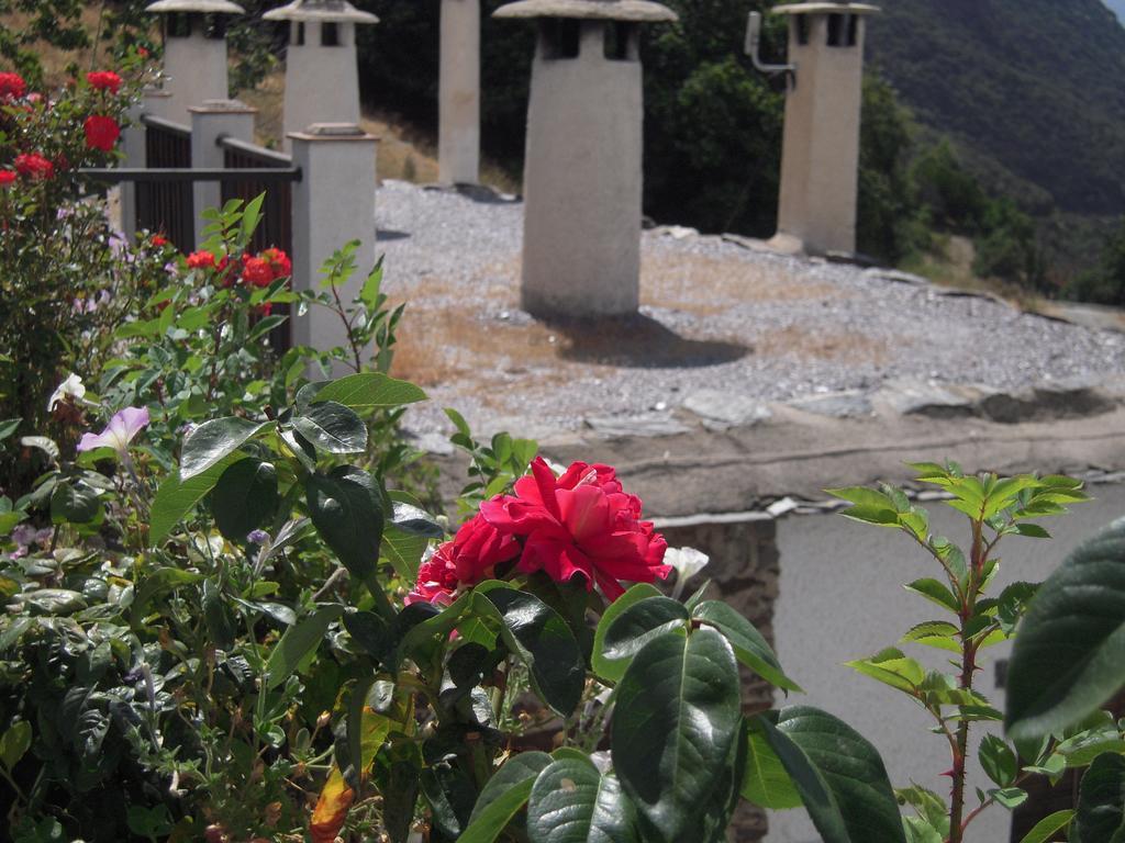 La Ermita Del Poqueira Apartment Bubion Ngoại thất bức ảnh